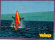 Delcampe - JOLI LOT DE 12 CARTES WIND MAGAZINE / CARTE DE GLISSE - Voile