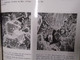 Delcampe - CONTRIBUTION A L'ETUDE DES MINERALISATIONS  HYDROTHERMALES LIEES A UN SYSTEME GEOTHERMIQUE RECENT ILE DE LA REUNION - Outre-Mer