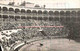Espagne - Espana - Spain - Madrid Plaza De Toros - Bull Fighting - - CPA - Madrid