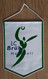 Captain Pennant Handball Club LC BRUHL Switzerland  17x25cm - Handbal