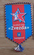 Pennant Handball Club ZVEZDA ZVENIGOROD Russia 13x23cm - Palla A Mano