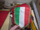 Sports Flags - Federazione Italiana Pesca Sportiva E Attività Subacquee 30x30 Cm - Zwemmen