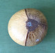 Handmade Decorative Coconut Bowl From Seychelles - Portate