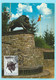 2315 - BELGIE - MAXIMUMKAART - ZEGEL NR 1733 - VIELSALM - MARTELANGE - MONUMENT AUX CHASSEURS ARDENNAIS - 1974 - Otros & Sin Clasificación