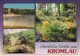 2823 - Deutschland - Kromlau , Mehrbildkarte - Nicht Gelaufen - Kromlau Kromola