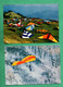 Delcampe - Parachutisme Parapente Delta Plane Ailes Delta Lot De 9 Cartes Postales Hang Gliding - Parachutting