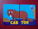 Magnet Petits Filous Castor Beaver Biber Castoro Bäver - Animaux & Faune