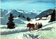 Suisse - Riederalp Bettmeralp Matterhorn Weisshorn - Promenade En Traineau - Bettmeralp