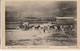 Militaria >MAROC- - DEBDOU ARRIVEE D UN CONVOI AU CAMP ANIMEE PEU CONNUE //CIRCULEE-7/12/1916 (Texte)TAMPO:AMBULANCE... - Guerres - Autres