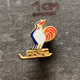 Badge Pin ZN009718 - Ice Skating Bobsleigh Luge Curling Hockey FFSG France Federation Association Union - Eiskunstlauf