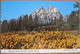 NATIONAL PARK GRAND TETONS BALSAM ROOT RANGE WYOMING UNITED STATES CARD ANSICHTSKARTE CARTOLINA POSTCARD PC STAMP - Corpus Christi