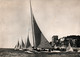 Monaco - Voiliers (8 Mètres) Régates Devant Le Musée Océanographique - Edition La Cigogne - Sailing