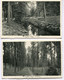 CPA - 2 Cartes Postales - Belgique - Asquillies (Plage) - La Rivière - Promenade (DG15475) - Quévy