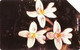 SIERRA : SRL16 25u Orchids Yellow MINT - Sierra Leone