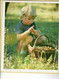 1988 - LA VIE EN 1888 ( Images Reproductions Du Calendrier Des Postes 1888) - Almanachs Oberthur - Grossformat : 1981-90