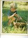 1988 - LA VIE EN 1888 ( Images Reproductions Du Calendrier Des Postes 1888) - Almanachs Oberthur - Grand Format : 1981-90