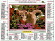 1994 - CHATONS SOMALIS Et CHATON PERSAN - Editions Oller - Big : 1991-00