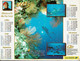 2001 - LA CALYPSO Et VUE SOUS MARINE PAR COUSTEAU - Editions Oller - Grossformat : 2001-...