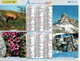 2007 - FAUNES, FLORES Et PAYSAGES DE MONTAGNE - Almanachs Lavigne - Formato Grande : 2001-...