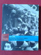 LIBRO FASCÍCULO 2 BIBLIOTECA EL MUNDO FRANQUISMO AÑO A AÑO LA DIVISIÓN AZUL 1941-1942 VER.....GUERRA WAR SPAIN ESPAÑA... - Lifestyle