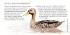 South Africa - 1997 Waterbirds Souvenir Booklet - Libretti