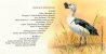 Delcampe - South Africa - 1997 Waterbirds Souvenir Booklet - Markenheftchen