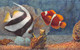 ¤¤  -   MONACO   -  Lot De 5 Cartes De L'Aquarium  - Poissons, Rascasse, Anémone Etc......   -  ¤¤ - Sammlungen & Lose