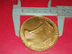 RARE MEDAILLE BRONZE ASSOCIATION AMICALE DES CORRESPONDANT DES CHEMINS DE FER GUIRAUD 62mm 115gr - Altri & Non Classificati