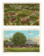 2 Different PINE BLUFFS, Arkansas, USA, Country Club & 3 High Schools And Zebra Football Field, 1955 Linen Postcard - Pine Bluff