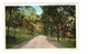 HENDERSON, Kentucky, USA, Drive In Henderson Park, Old WB Postcard - Henderson