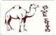 PAKMAP : WP16031 150 Animals Pakistan : CAMEL USED - Pakistan
