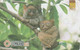 Philippines, PH-PLDT-0024B, 100 Pesos, Philippine Tarsiers, Animals, 2 Scans. - Filipinas