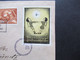 Schweiz 1927 1. Luftpost Brugg- Yverdon Pestalozzi Gedenkfeier Mit Vignette Michel Nr. 181 Sonderbeleg - Primeros Vuelos