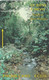 St. Kitts & Nevis, 283CSKA, Tropical Rain Forest, 2 Scans. - St. Kitts En Nevis