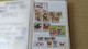 Delcampe - Lot N° TH 146 THEMATIQUE PAPILLONS Un Gros Classeur De 64 Pages - Collezioni (in Album)