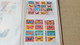 Delcampe - Lot N° TH 146 THEMATIQUE PAPILLONS Un Gros Classeur De 64 Pages - Collezioni (in Album)