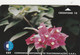 São Tomé And Príncipe, ST-CST-0002, Flower 1, 2 Scans. - Sao Tome And Principe