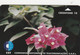 São Tomé And Príncipe, ST-CST-0002, Flower 1, 2 Scans. - San Tomé Y Príncipe