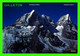 NÉPAL -  MT. CHOLATSE & MT. TAWETSE - S. I. E. - PHOTO, BHUSHAN MALLA - - Népal