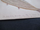 Delcampe - Kolonie DR / GB Natal Süd Afrika Um Ca. 1900 Selbstgemalte / Gestaltete Karte Fisch Aus Einem Blatt An Frau Inspector - Deutsch-Ostafrika