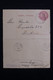 ARGENTINE - Entier Postal De Buenos Aires Pour Buenos Aires En 1910 - L 84104 - Enteros Postales