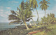 Usa - HAWAII - KONA COASTLINE - CACHET POSTAL HONOLULU - Honolulu