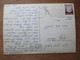 ISRAEL PALPHOT 9593 JAFFA ORANGE FLOWER WILD PICTURE JUDAICA CARD POSTCARD CARTOLINA ANSICHTSKARTE - Nouvel An