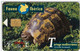 SPAIN ESP61 1000pta FAUNA Tortuga Mediterranea Turtle USED - Andere & Zonder Classificatie