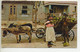 Old Post Card - BARBADOS - West Indies  - Native Coconut Vendor - Donkeys - Barbades