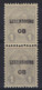 1908  LUXEMBOURG PREO Nr. 53 (2 X) ** MNH Avec Curiosite " Perforation " (état Voir 4 Scans) !   LOT 216 - Preobliterati