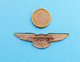 KLM (Royal Dutch Airlines) - JUNIOR STEWARDESS - Nice Large Old Pilot Wings Badge * Holland Netherlands Airline Airways - Crew Badges