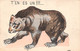 Thème:  Ours.       Carte  Dessinée Caricature Humoristique : T'es Un Ours    (voir Scan) - Bears