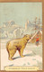 Thème:  Ours.    Image 10x7  Chasse à L'ours Blanc    Publicité Chicorée Mairesse 59 Cambrai        (voir Scan) - Andere & Zonder Classificatie