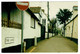 Ref 1444 - 1998 Postcard - The Lane - West Mersea Near Colchester Essex - Colchester